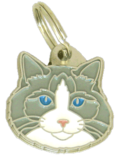 Ragdoll blue bicolor <br> (ID-bricka för katt, Gravyr ingår i priset)